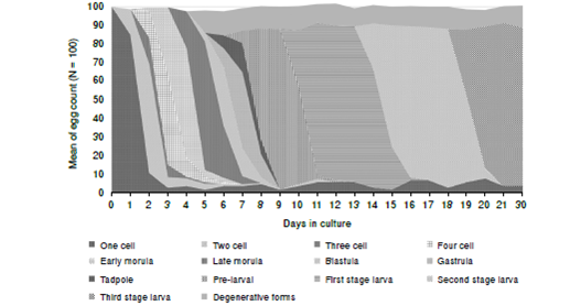 Rate of development of Toxocara canis embryos incubated at 28 °C. The x-axis represents the day of incubation. The y-axis represents the number of parasite eggs in the different stages of development
