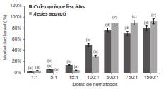 Porcentaje (&plusmn; error est&aacute;ndar) de mortalidad de larvas de Culex quinquefasciatus y Aedes aegypti en funci&oacute;n de las dosis de nematodos aplicadas. Las letras en las barras indican diferencias significativas (p=0,05)