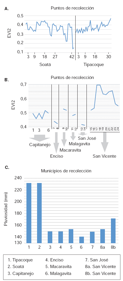 Valores del EVI2 en los puntos de recolecci&oacute;n de T. dimidiata en municipios de Boyac&aacute; (A) y Santander (B) en mayo y junio de 2007. Valores de (A) y (B) conforme al promedio mensual de im&aacute;genes MODIS, producto MOD13, colecci&oacute;n 005, resoluci&oacute;n espacial de 250 m; valores de (C) conforme al acumulado mensual para ambos departamentos en sensor TRMM, resoluci&oacute;n espacial de 5 km
