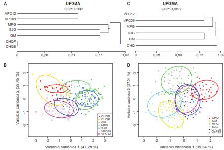 A) An&aacute;lisis de conglomerados (UPGMA) mediante morfometr&iacute;a lineal. B) An&aacute;lisis discriminador mediante morfometr&iacute;a lineal. C) An&aacute;lisis de conglomerados (UPGMA) mediante morfometr&iacute;a geom&eacute;trica. D) An&aacute;lisis discriminador mediante morfometr&iacute;a geom&eacute;trica. Miraflores, Guaviare (GM); San Jos&eacute; del Guaviare, Guaviare (SJG); Pacurita, Choc&oacute; (CHQP); Bet&eacute;, Choc&oacute; (CHQP); Puerto Carre&ntilde;o, Vichada 2009 y 2012 (VPC); Puerto Gait&aacute;n, Meta (MPG)