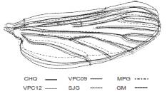 Variaci&oacute;n en la forma alar de Anopheles darlingi en seis localidades de Colombia CHQ: Quibd&oacute;; VPC09: Puerto Carre&ntilde;o, 2009; VPC12: Puerto Carre&ntilde;o, 2012; MPG: Puerto Gait&aacute;n; SJG: San Jos&eacute; del Guaviare; GM: Miraflores
