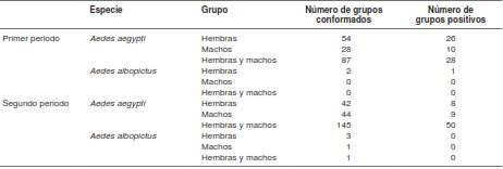 Grupos de mosquitos Aedes aegypti y Aedes albopictus recolectados en los dos periodos de muestreo