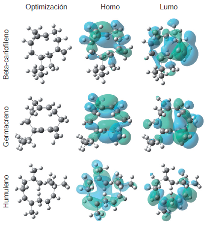 Mapeo de orbitales HOMO y LUMO de sesquiterpenos con actividad larvicida a partir de una optimizaci&oacute;n, y c&aacute;lculo de la energ&iacute;a de nivel mediante el m&eacute;todo de Hartree-Fock utilizando un conjunto de base 6-311(d,p): 1) beta-cariofileno; 2) germacreno D; 3) humuleno