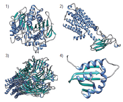 Dianas biol&oacute;gicas implicadas en el mecanismo de acci&oacute;n de los aceites esenciales y sus componentes. 1) Acetilcolinesterasa de Ae. aegypti modelada por homolog&iacute;a utilizando la secuencia GenBank ABN09910.1, y usando como templete el modelo el PDB: 2W6C; 2) receptor oamb de octopamina de An.sinensis modelada por homolog&iacute;a utilizando la secuencia GenBank KFB42017.1, y usando como templete el modelo el PDB: 2Y03; 3) receptor GABA de Cx. quinquefaciatus modelado por homolog&iacute;a utilizando la secuencia GenBank EDS38917.1, y usando como templete el modelo el PDB: 5CFB; 4) prote&iacute;na transportadora de esterol de Ae. aegypti cristalizada reportada con el PDB: 2KSH