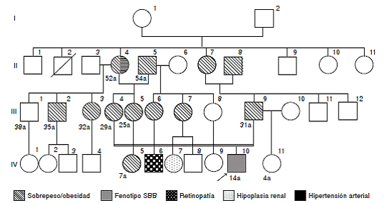 &Aacute;rbol geneal&oacute;gico del paciente con s&iacute;ndrome de Bardet-Biedl. Se observa la consanguinidad parental de primer grado (primos hermanos) en los individuos III.4 y III.9, padres del paciente (relleno gris) (IV.10). En las generaciones II, III y IV, se evidencian individuos con sobrepeso u obesidad (l&iacute;neas oblicuas) en patr&oacute;n vertical (II.4, II.5, II.7, II.8, III.2, III.3, III.4, III.5, III.6, III.7, III.9 y IV.5). La abuela materna padece hipertensi&oacute;n arterial sist&eacute;mica (l&iacute;neas horizontales) (II.4). Por l&iacute;nea materna hay dos primos hermanos medios del paciente, cada uno con una anomal&iacute;a mayor: retinopat&iacute;a no especificada en un var&oacute;n (cuadr&iacute;cula en blanco y negro) (IV.6) e hipoplasia renal en una ni&ntilde;a (relleno punteado) (IV.7). Seg&uacute;n los informes, la hermana por l&iacute;nea paterna, de 4 a&ntilde;os de edad, est&aacute; sana.