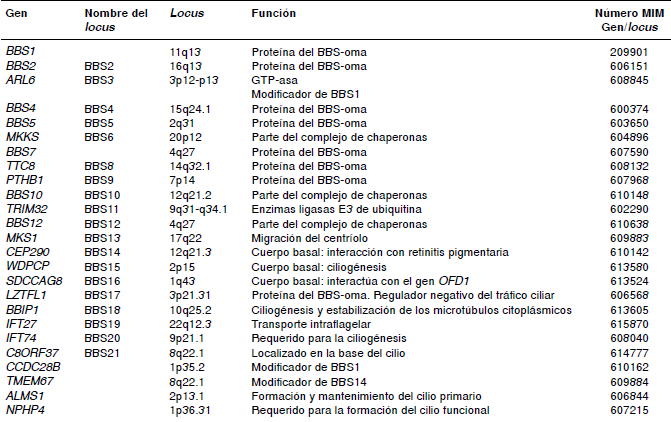 Genes implicados en el s&iacute;ndrome de Bardet-Biedl. Se describen 25 genes involucrados en la funci&oacute;n ciliar, de los cuales 22 han sido confirmados como causantes del s&iacute;ndrome. No obstante, existen otros genes responsables del transporte intraflagelar anter&oacute;grado, el transporte intraflagelar retr&oacute;grado y del cuerpo basal, que podr&iacute;an estar asociados con la enfermedad. Los genes estudiados mediante el an&aacute;lisis molecular en este caso cl&iacute;nico aparecen en negrilla. Para m&aacute;s detalles de los genes, consultar con el n&uacute;mero MIM en la base de datos de OMIM (http://omim.org) (3,23-31).