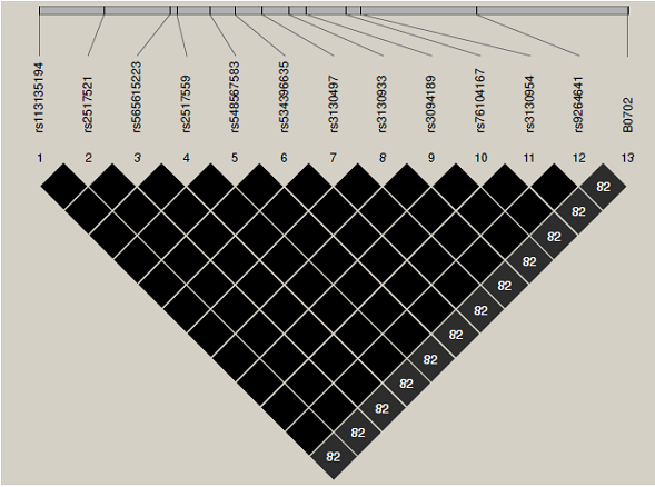 Desequilibrio de ligamiento entre el alelo HLA-B*07:02 y doce marcadores en la región HLA de clase I. Valores expresados en R2. El intervalo entre los polimorfismos de un solo nucleótido incluye una región física de 248,322 pb. El alelo clásico se localiza en posición centromérica (identificado con la marca # 13).