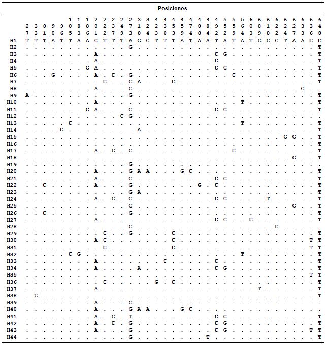 Sitios variables en la secuencia del gen COI de 44 haplotipos de Anopheles triannulatus s.l. Los puntos (.) denotan homolog&iacute;a de nucle&oacute;tidos.