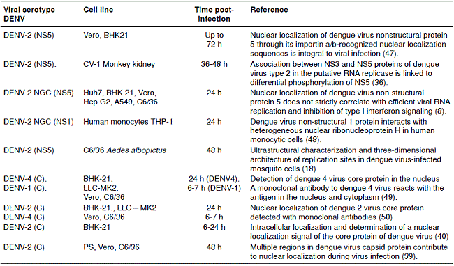 Report of nuclear localization of dengue virus antigens