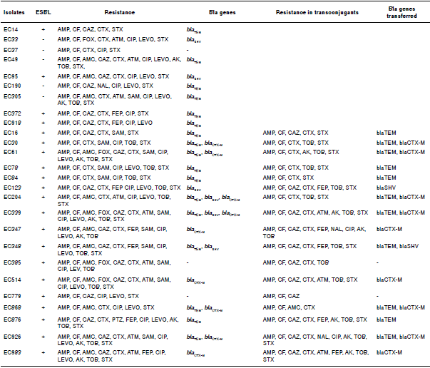 Phenotypic and molecular characteristics of multidrug resistant Escherichia coli isolates. Here we show the DDST phenotypes of the bacterial isolates from patients with community-acquired urinary tract infections and their transconjugants, when appropriate, as well as the genes detected by PCR.