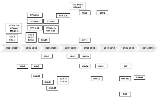 Variantes de BLEE, AmpC y carbapenemasas detectadas en Colombia, 2001-2016