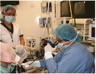 Estudio de la v&iacute;a a&eacute;rea porcina con fibrobroncoscopia flexible y toma de muestras de lavado broncoalveolar