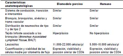 Caracter&iacute;sticas anatomopatol&oacute;gicas del biomodelo porcino de la especie h&iacute;brida Large White y Landrace y del humano