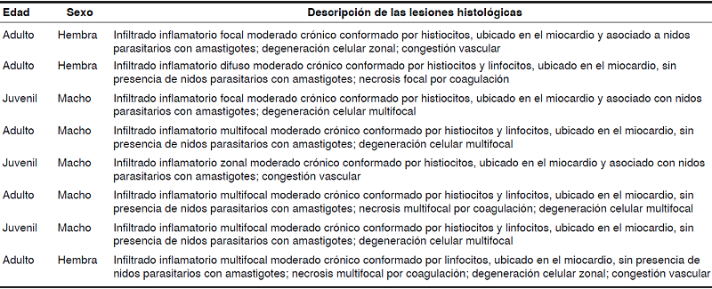 Descripción de las lesiones histológicas observadas en cada una de las muestras de tejido cardiaco positivas para la infección con Trypanosoma cruzi en Mus musculus