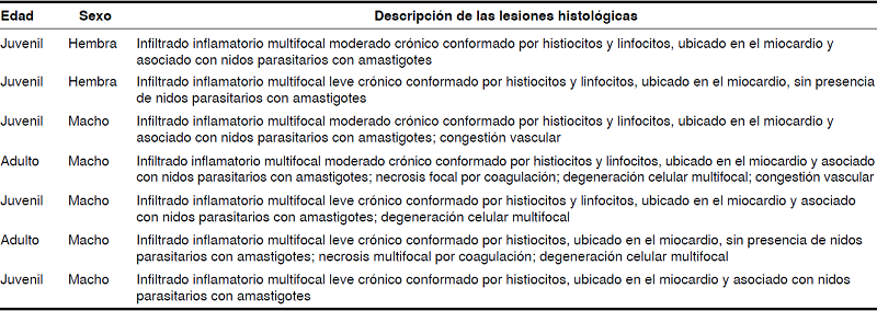 Descripción de las lesiones histológicas observadas en cada una de las muestras de tejido cardiaco positivas para la infección con Trypanosoma cruzi en Rattus rattus