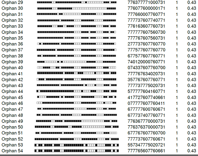 Distribution of orphan patterns identified by spoligotyping in the study
