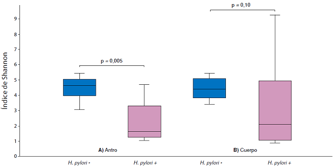 Diversidad metagen&oacute;mica de la microbiota g&aacute;strica: &iacute;ndices de Shannon seg&uacute;n infecci&oacute;n por Helicobacter pylori y sitio anat&oacute;mico del est&oacute;mago. A) Antro g&aacute;strico. B) Cuerpo g&aacute;strico. En el antro g&aacute;strico de individuos positivos para H. pylori (H. pylori +) la diversidad metagen&oacute;mica disminuy&oacute; significativamente con respecto al grupo de individuos libres de la infecci&oacute;n (H. pylori -) (p=0,005). Aunque se observ&oacute; una tendencia a la diferenciaci&oacute;n de la microbiota en el cuerpo g&aacute;strico, los an&aacute;lisis no revelaron diferencias estad&iacute;sticas en la transici&oacute;n del estatus de H. pylori (p=0,10; prueba U de Mann-Whitney).