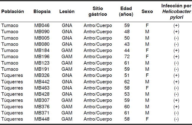 Informaci&oacute;n demogr&aacute;fica de los individuos seg&uacute;n procedencia, tipo de lesi&oacute;n g&aacute;strica, sitio anat&oacute;mico del est&oacute;mago e infecci&oacute;n por Helicobacter pylori