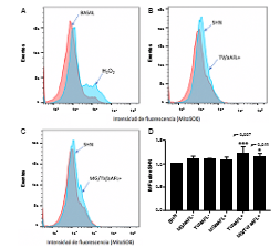 Producci&oacute;n de ani&oacute;n super&oacute;xido mitocondrial por citometr&iacute;a de flujo. (A) Se observ&oacute; un incremento en la intensidad mediana de fluorescencia del MitoSOX en las c&eacute;lulas tratadas con per&oacute;xido de hidr&oacute;geno (B y C). Im&aacute;genes representativas del efecto de los sueros de los grupos de morbilidad gestacional, trombosis venosa y anticuerpos antifosfol&iacute;pidos y los de trombosis venosa y anticuerpos antifosfol&iacute;pidos en el incremento del ani&oacute;n super&oacute;xido. (D) Comparaci&oacute;n entre los grupos de estudio. Se realiz&oacute; un ANOVA de una v&iacute;a y un &lsquo;post-test&rsquo; de HolmSidak (p<0,05) y (p<0,001) ***. Los resultados se obtuvieron de cinco experimentos independientes. Los datos se indican como la media &plusmn; la desviaci&oacute;n est&aacute;ndar.
