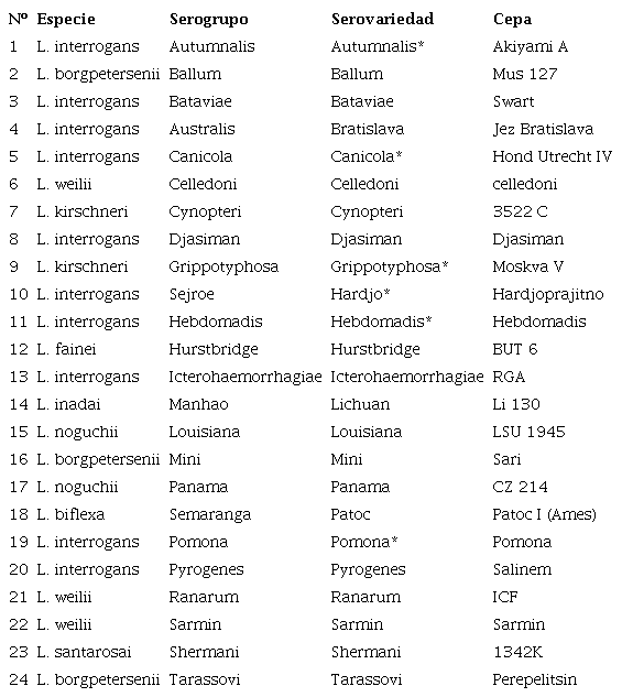 Cepas de referencia de Leptospira spp. suministradas por el Royal Tropical Institute (KIT) de Holanda usadas en la prueba MAT