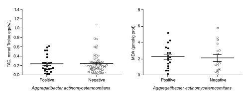 Salivary levels of the total antioxidant capacity (TAC) and salivary malondialdehyde (MDA) in subjects with presence or absence of A. actinomycetemcomitans
