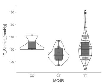 Asociaci&oacute;n del polimorfismo rs17782313 del gen MC4R con la tensi&oacute;n arterial sist&oacute;lica promedio en el grupo de adultos obesos En los individuos obesos con genotipo TT hubo una disminuci&oacute;n de las concentraciones s&eacute;ricas de HDL (mediana: 41; RIC: 15), a diferencia de los individuos con genotipos CC (mediana: 43; RIC: 14,7) y CT (mediana: 49; RIC: 18; p: 0,048).