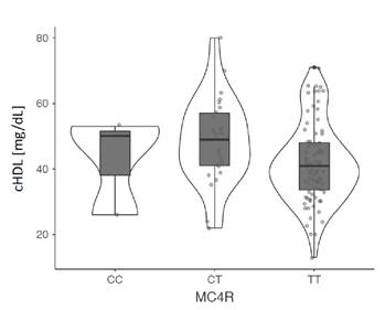 Asociaci&oacute;n del polimorfismo rs17782313 del gen MC4R con las concentraciones s&eacute;ricas de HDL en el grupo de adultos obesos