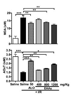 Changes in oxidative stress markers in the nephroprotection study. MDA: Malondialdehyde; AOxT: Activity of the total antioxidants; I/R: Ischemia-reperfusion; ALO: Allopurinol; EAAs: Essential amino acid α-ketoacid analogs Saline group + I/R (7) vs. sham group (6) and treated groups (8-11) Values are expressed as mean &plusmn; SD. * p<0.05, ** p<0.001, *** p<0.0001