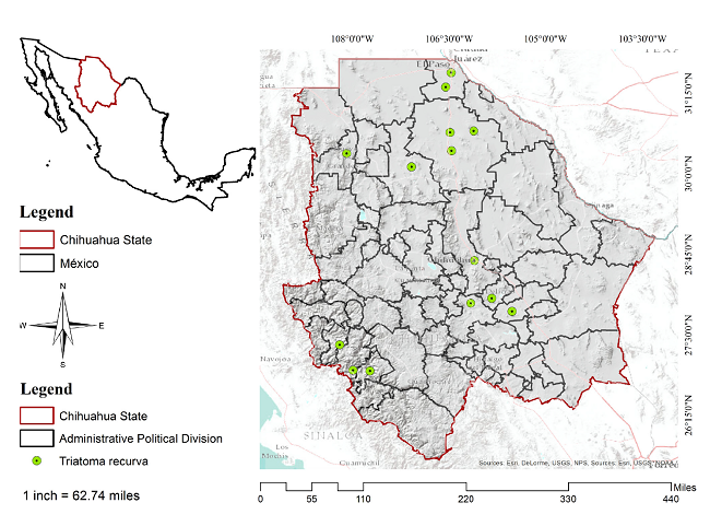 Area of study and presence of Triatoma recurva