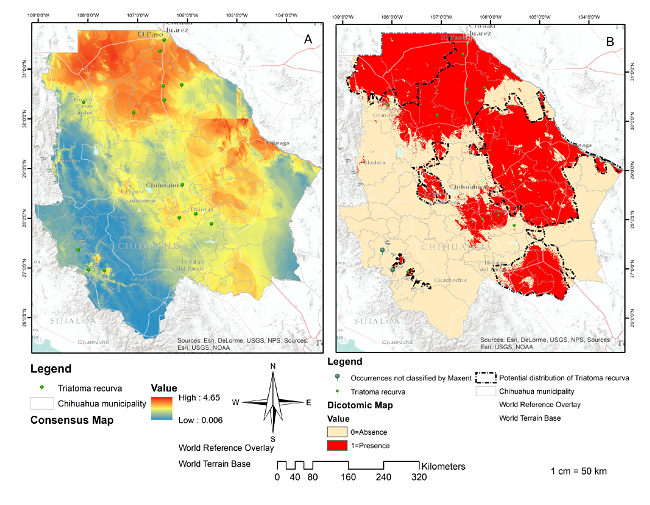 Distribution of Triatoma recurva. Consensus map (A): Result of the addition of the five models with AUC<0.8. Source: Individual elaboration based on the results obtained by the modeling in MaxEnt and algebra of maps. Map of presence/absence (B) for the Triatoma recurva generated by the reclassification and algebra of maps. Source: Individual elaboration based on the results of MaxEnt, the reclassification by the percentile 10, and algebra of maps. The dotted line shows favorable environmental conditions for the presence of Triatoma recurve in Chihuahua state (potential distribution). There are also two occurrences not classified by Maxent.