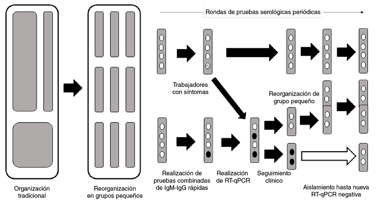 Esquema de reorganizaci&oacute;n del trabajo en grupos peque&ntilde;os, pruebas serol&oacute;gicas peri&oacute;dicas y manejo de casos positivos en las empresas colombianas participantes