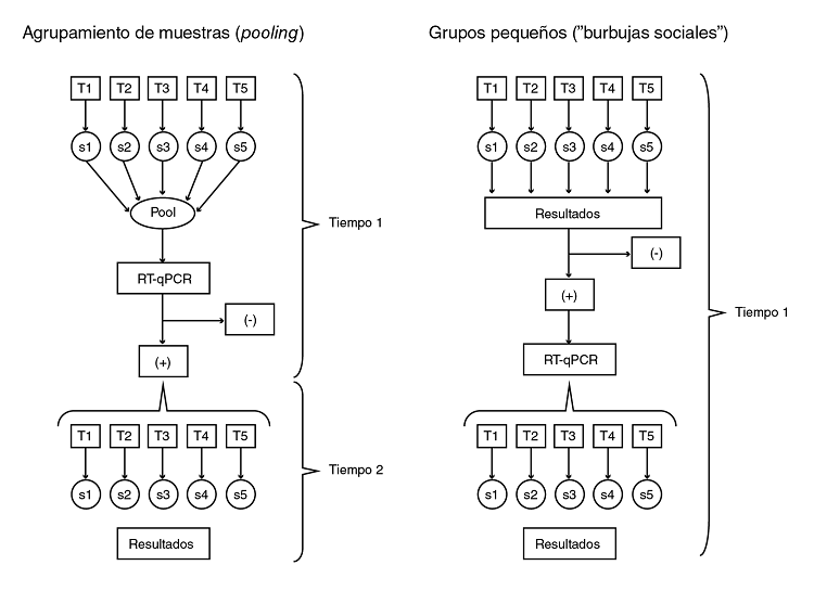 Comparaci&oacute;n te&oacute;rica entre el an&aacute;lisis de muestras mediante agrupaci&oacute;n de muestras (pooling) y la organizaci&oacute;n de grupos peque&ntilde;os ("burbujas sociales")