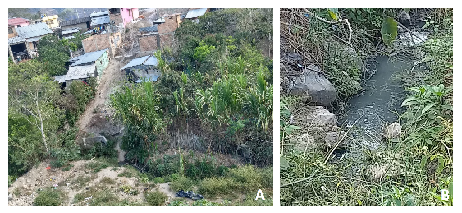 A. Barrio de residencia del paciente en el municipio de Policarpa, Nariño, Colombia. Nótese la cercanía de las casas a la cañada por donde fluyen las aguas residuales. B. Aspecto de la quebrada que recibe las aguas residuales