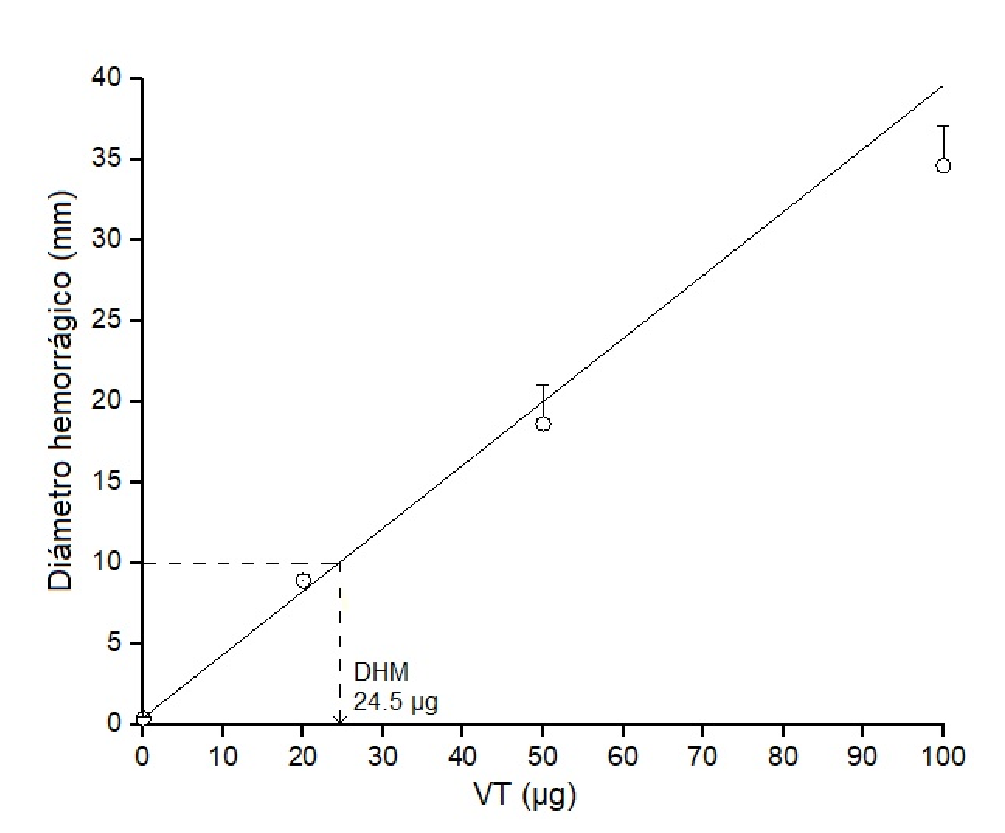 Dosis hemorrágica mínima del veneno total (VT) de Bothrops roedingeri en ratones. Se usaron diferentes dosis de veneno (20, 50 y 100 µg). El gráfico representa el diámetro promedio de los halos hemorrágicos ± DE (desviación estándar) (n=4). Se muestra la regresión lineal de dosis Vs. diámetros (r=0,99455).