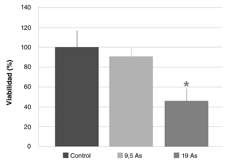 Viabilidad de esplenocitos obtenidos por cultivo primario de bazo de ratones Balb/c sometidos a las siguientes condiciones experimentales: 0 mg/kg de NaAs02 (control), 9,5 mg/kg de NaAs02 intraperitoneal (9,5 As), 19 mg/kg de NaAs02 intraperitoneal (19 As). Los valores se expresan como medias (% de &aacute;rea seg&uacute;n control) &plusmn; EE (n>3).