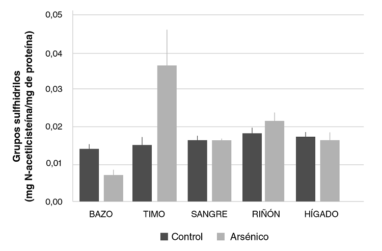Concentraci&oacute;n de grupos sulfhidrilos en bazo, timo, sangre, ri&ntilde;on e h&iacute;gado de ratones Balb/c sometidos a las siguientes condiciones experimentales: 0 mg/kg de NaAs02 (control), 19 mg/kg de NaAs02 ip (ars&eacute;nico). Los valores se expresan como medias (mg de N-acetilciste&iacute;na/ mg de prote&iacute;na) &plusmn; EE (n>3).