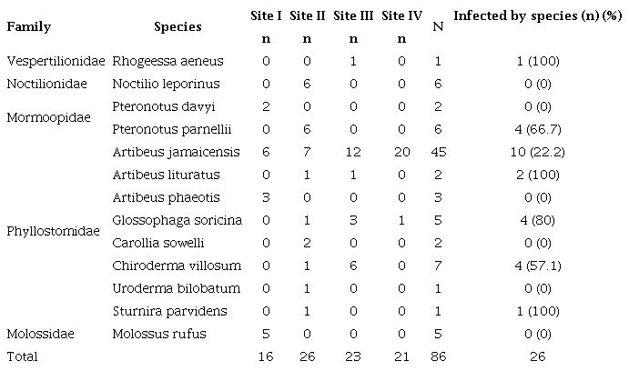 1. Family, species, total number of captured and infected bats per study site in Yucat&aacute;n and Campeche, Mexico