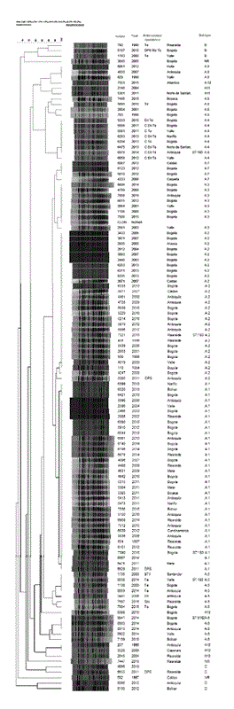 Dendrogram of isolates of S. pneumoniae serotype 3 received in the surveillance program in Colombia, 1994-2015