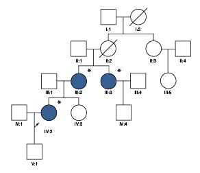&Aacute;rbol geneal&oacute;gico de una familia colombiana con malattia leventinese
