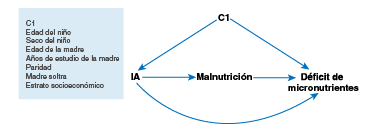 Gráfico acíclico dirigido (Directed Acyclic Graph, DAG) de la asociación entre inseguridad alimentaria y déficit de micronutrientes