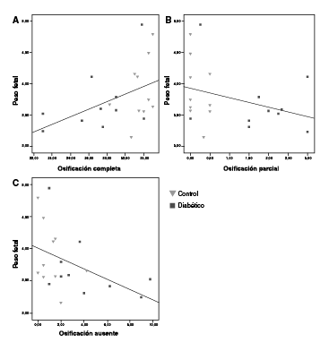 Correlaci&oacute;n entre el grado de osificaci&oacute;n y el peso fetal. A: Osificaci&oacute;n completa Vs. peso fetal (p=0,469; p=0,037*). B: Osificaci&oacute;n parcial Vs. peso fetal (p=-0,333; p=0,151). C: Osificaci&oacute;n ausente Vs. peso fetal (p=-0,518; p=0,019*) (prueba de rango de correlaciones de Spearman)