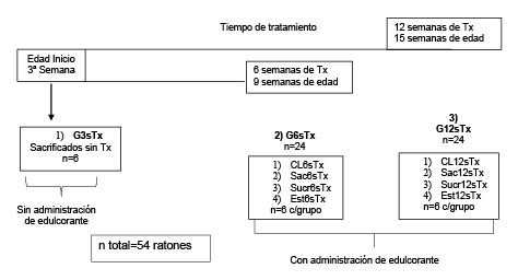 Distribuci&oacute;n de los grupos de estudio de acuerdo con el tiempo de tratamiento y el tipo de edulcorante administrado