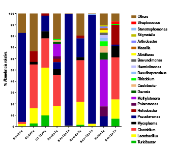 Composici&oacute;n de la microbiota obtenida de los s&oacute;lidos del intestino delgado de ratones CD1 tratados o no con edulcorantes durante 6 y 12 semanas