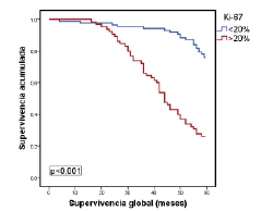 Relaci&oacute;n entre la supervivencia global y la de pacientes con el subtipo luminal A, seg&uacute;n el consenso de Saint Gallen del 2009 y el porcentaje de expresi&oacute;n de Ki-67 con el punto de corte en 20 %