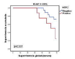 Relaci&oacute;n entre la supervivencia global y la de pacientes con el subtipo luminal B, seg&uacute;n el consenso de Saint Gallen del 2009, el estado de HER2 y un porcentaje de expresi&oacute;n de Ki-67 de <20%