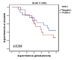 Relaci&oacute;n entre la supervivencia global y la de pacientes con el subtipo luminal B, seg&uacute;n el consenso de Saint Gallen del 2009, el estado de HER2 y un porcentaje de expresi&oacute;n de Ki-67 de >20 %