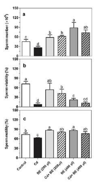 Sperm count (a), sperm viability (b), and sperm motility (c) in NMRI male mice treated with 200 and 400 µl of BE (1 g ml-1) with and without Cd (1 mg kg−1 of mouse weight). Data represent the mean of six mice in each group (± SD). Different letters indicate significant differences among groups (p ≤ 0.05; Oneway ANOVA; Tukey´s HSD all-pairwise comparisons as a post-hoc test).