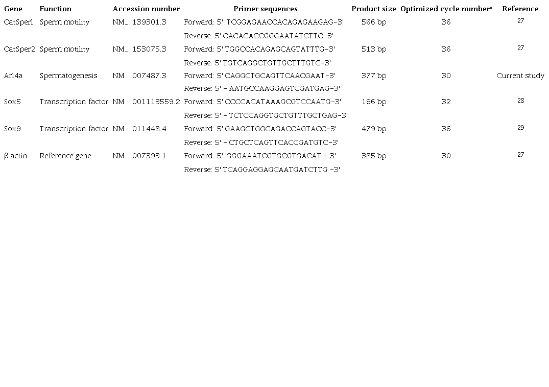 Sequence of the designed primers used for RT-PCR