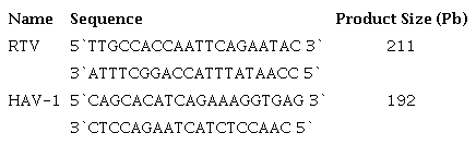 Primer sequences used in one-step RT-PCR for rotavirus and hepatitis A virus amplification