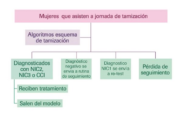 &Aacute;rbol de decisi&oacute;n de la jornada de tamizaje